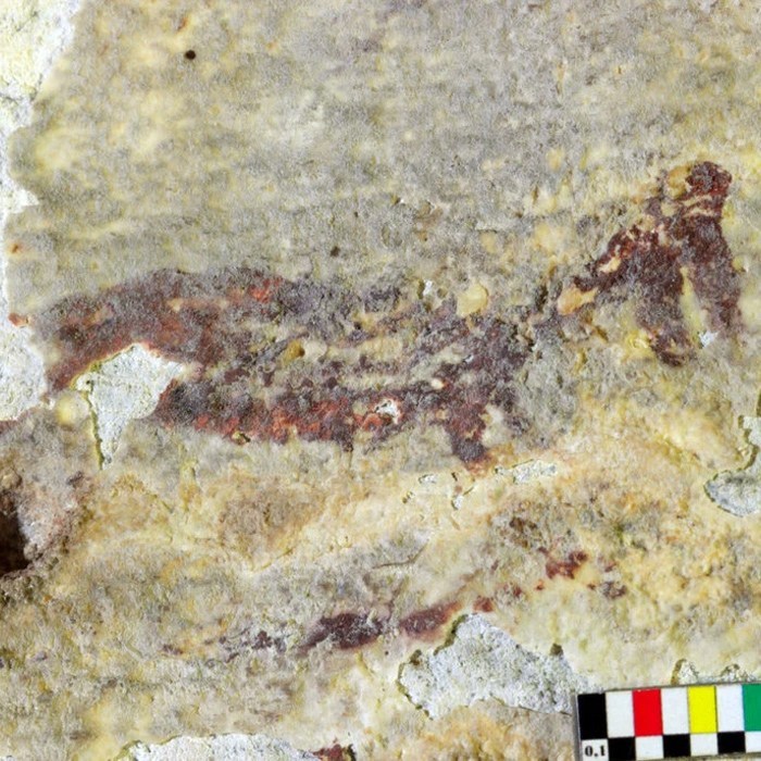 43,900-Year-Old Cave Art Depicts Ancient Hunting Scene
