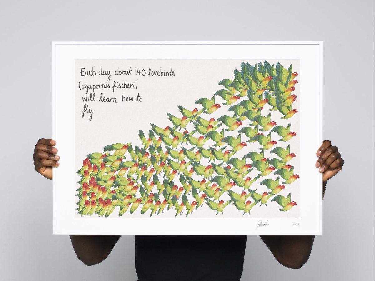 Data Journalist Mona Chalabi’s Uplifting Art Prints for Earth Day – COOL HUNTING®