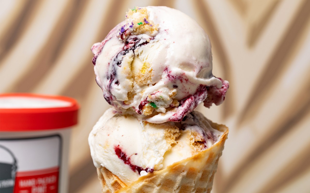 Eight Excellent Ice Cream Brands Shipping Throughout the US – COOL HUNTING®