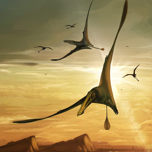 Remains of World’s Largest Pterosaur Discovered in Scotland – COOL HUNTING®