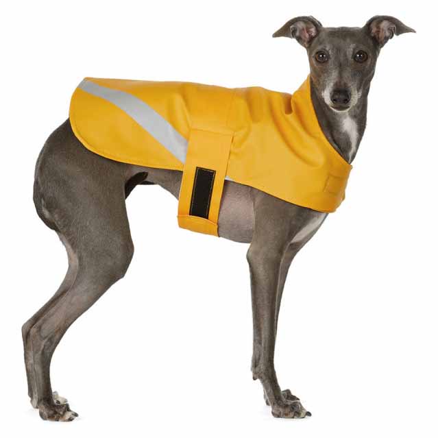 Lightweight Dog Raincoat – COOL HUNTING®