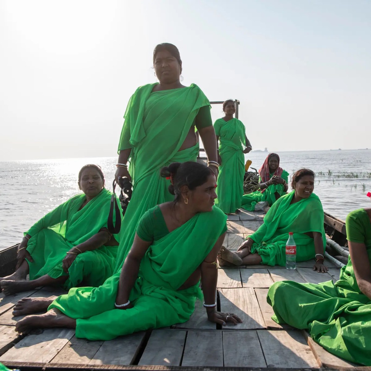 How Women in India are Fighting Climate Change With Mangrove Trees – COOL HUNTING®