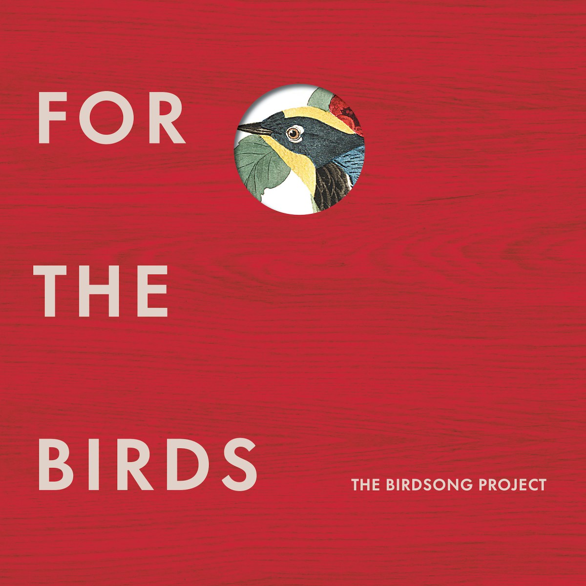 In The Gale (The Birdsong Project) – COOL HUNTING®