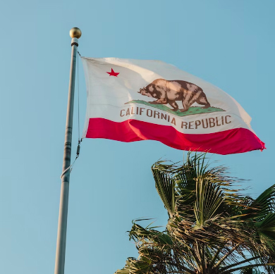 California Becomes the First Official Sanctuary State for Trans Youth – COOL HUNTING®