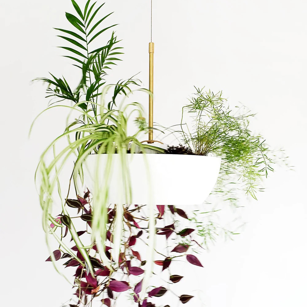 Well Planter – COOL HUNTING®