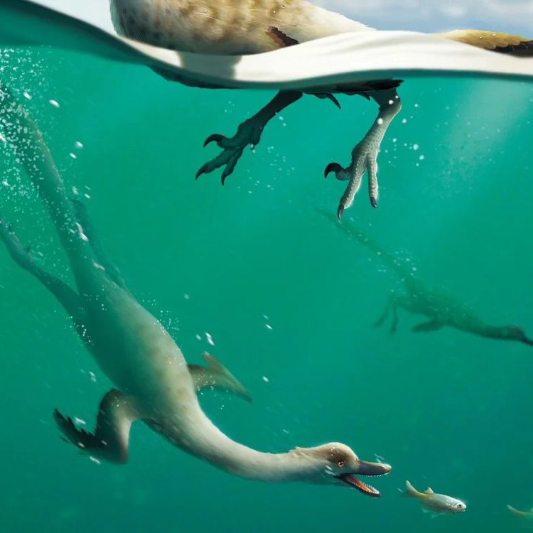 Paleontologists Discover a Swimming Dinosaur – COOL HUNTING®
