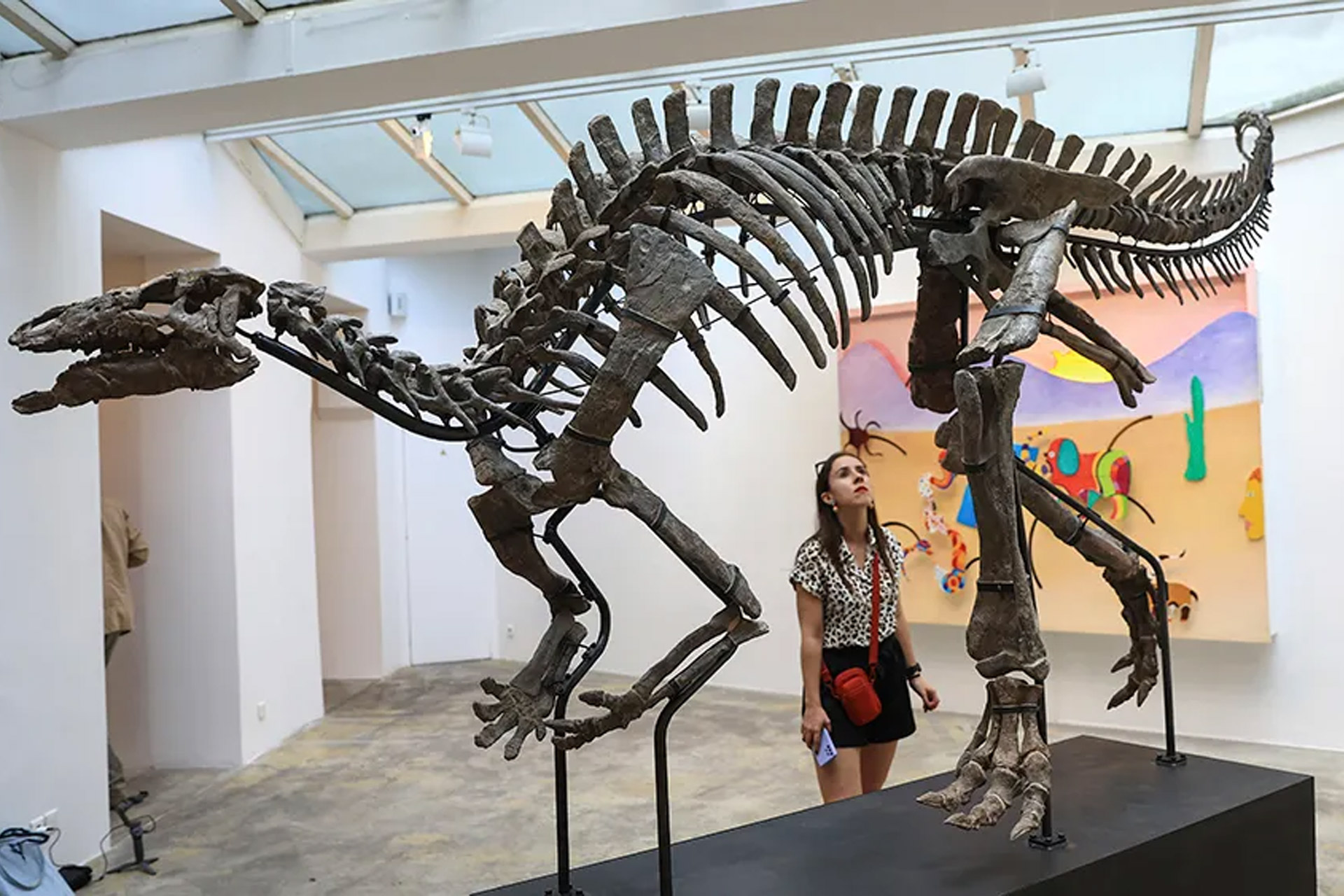 Barry the Camptosaurus Skeleton | Uncrate